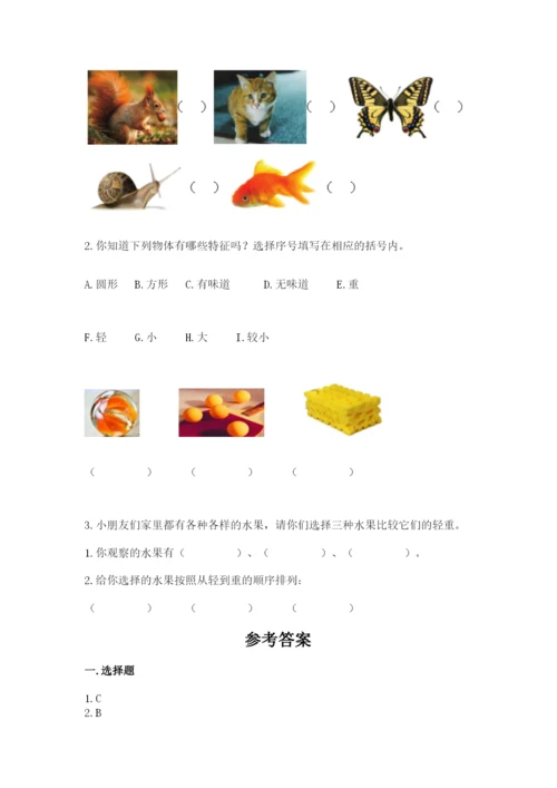 教科版小学科学一年级下册期末测试卷附参考答案（模拟题）.docx