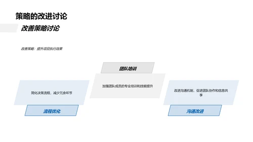 项目年度总结报告