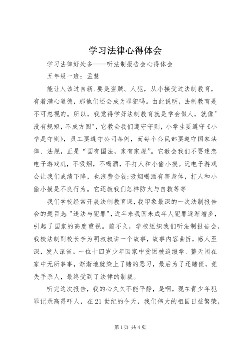 学习法律心得体会 (5).docx