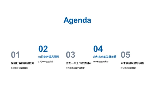 保险行业的未来展望