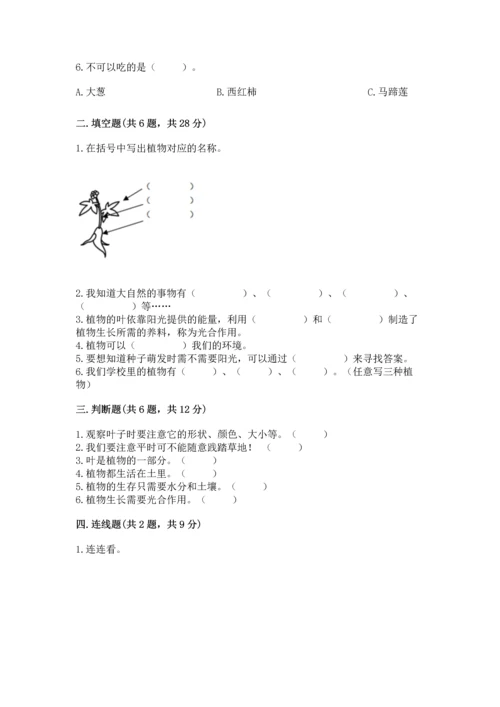 教科版科学一年级上册第一单元《植物》测试卷及答案【易错题】.docx