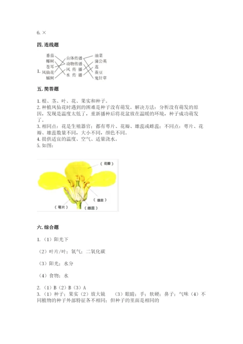科学四年级下册第一单元《植物的生长变化》测试卷word版.docx