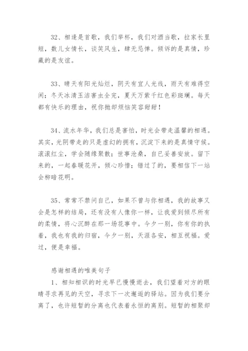 表示遇见你很幸运短句 感谢相遇的唯美句子.docx