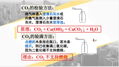 6.2 二氧化碳制取的研究课件(共31张PPT)---2023-2024学年九年级化学人教版上册