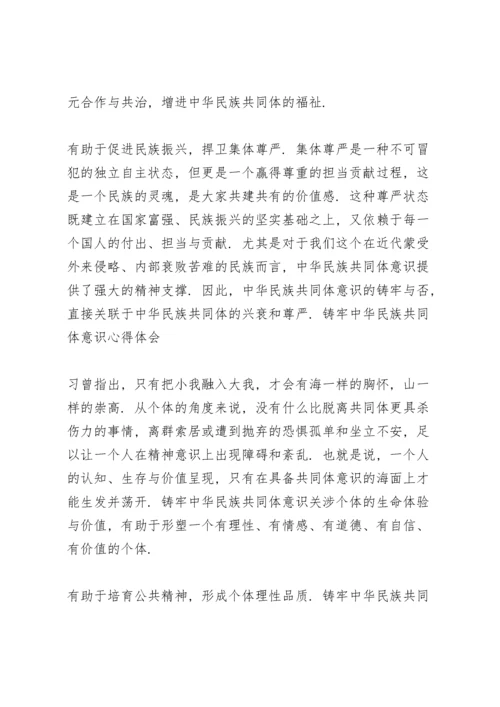 2021年铸牢中华民族共同体意识心得体会.docx