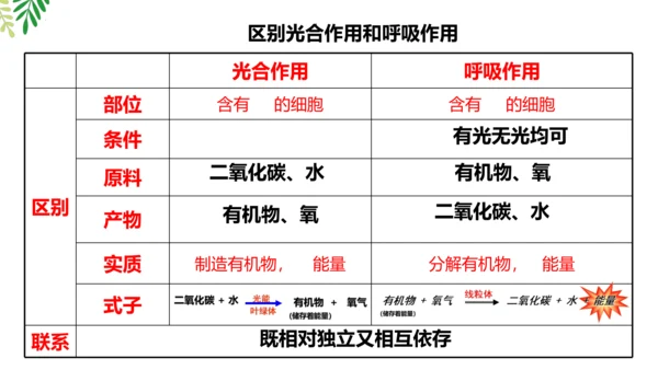 3.5.2 绿色植物的呼吸作用-2023-2024学年七年级生物上册优质课件（人教版）(共18张PP