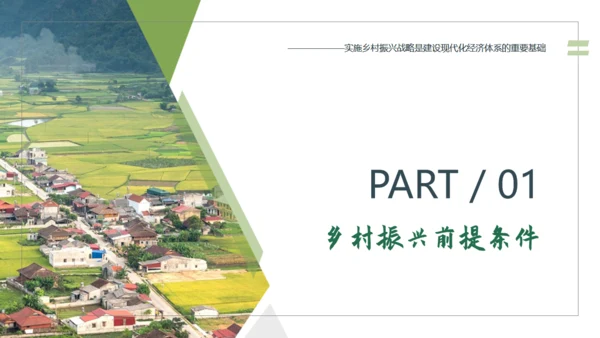 乡村振兴建设美丽新农村通用PPT模板