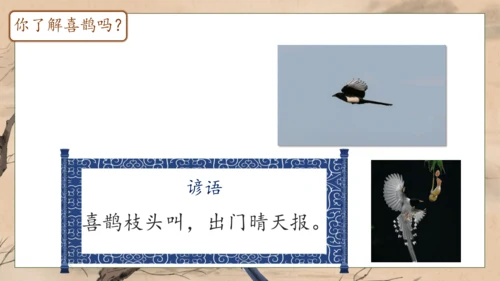 【核心素养】部编版语文一年级下册-5. 树和喜鹊 第1课时（课件）
