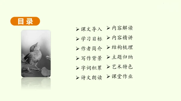 第1课 祖国啊，我亲爱的祖国 课件(共47张PPT)-【课堂无忧】新课标同步核心素养课堂