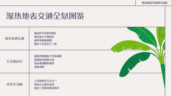 粗线条插画风泰国旅游攻略