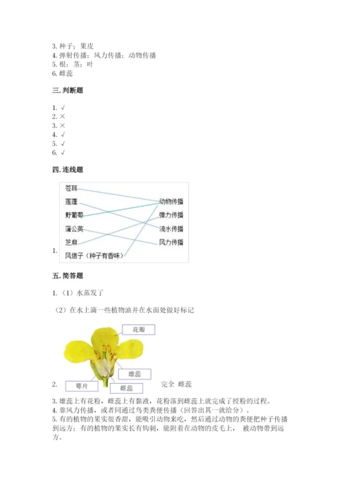 教科版四年级下册科学第一单元《植物的生长变化》测试卷（培优）.docx