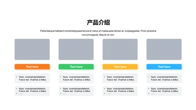 阴影PPT产品介绍