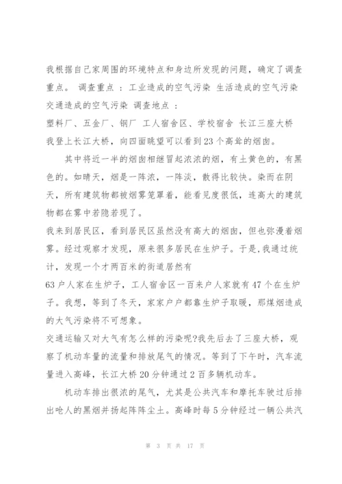 小学生社会调查报告范文10篇.docx