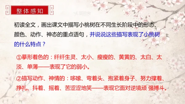 第19课 一棵小桃树 课件(共24张PPT)