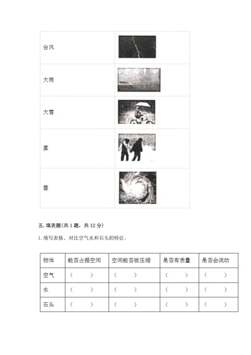 教科版三年级上册科学《期末测试卷》含完整答案【各地真题】.docx