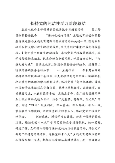 保持党的纯洁性学习阶段总结 (5)