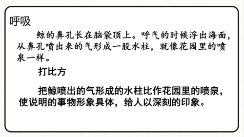 统编版语文五年级上册第五单元 习作例文《鲸》《风向袋的制作》 课件