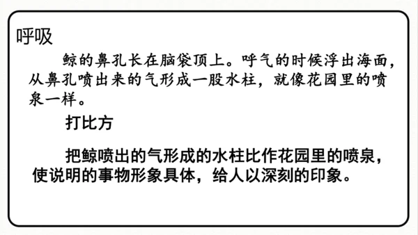 统编版语文五年级上册第五单元 习作例文《鲸》《风向袋的制作》 课件
