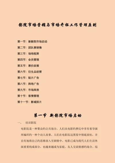 影院市场营销.docx