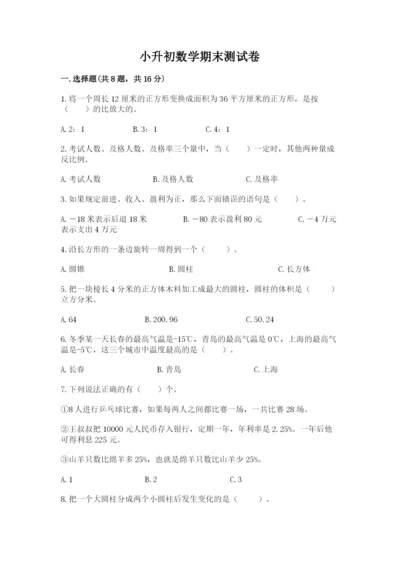 小升初数学期末测试卷精品（各地真题）.docx