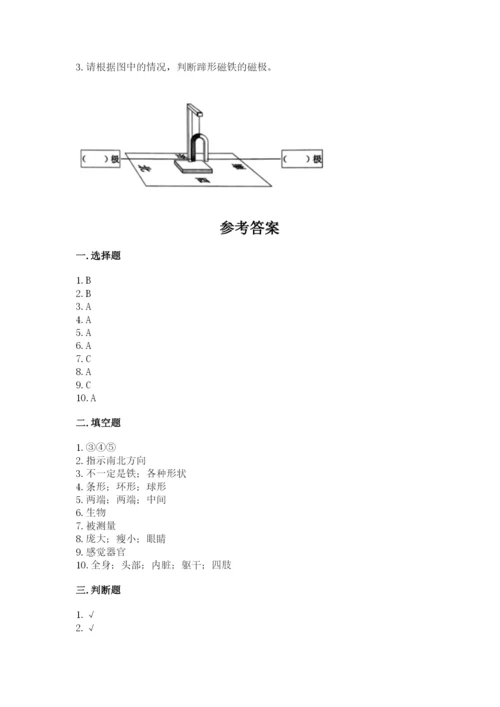 教科版二年级下册科学期末测试卷带答案（最新）.docx