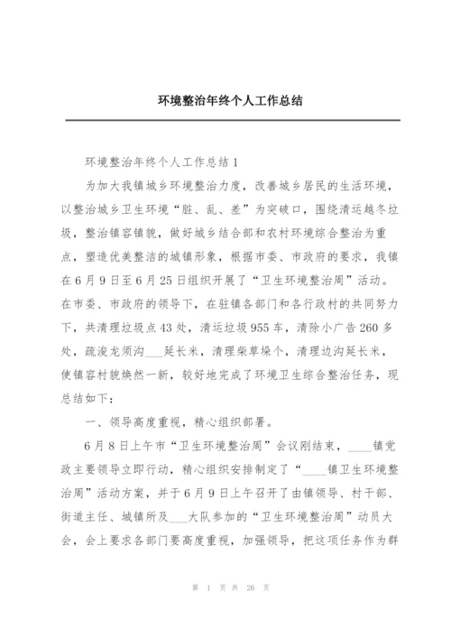 环境整治年终个人工作总结.docx