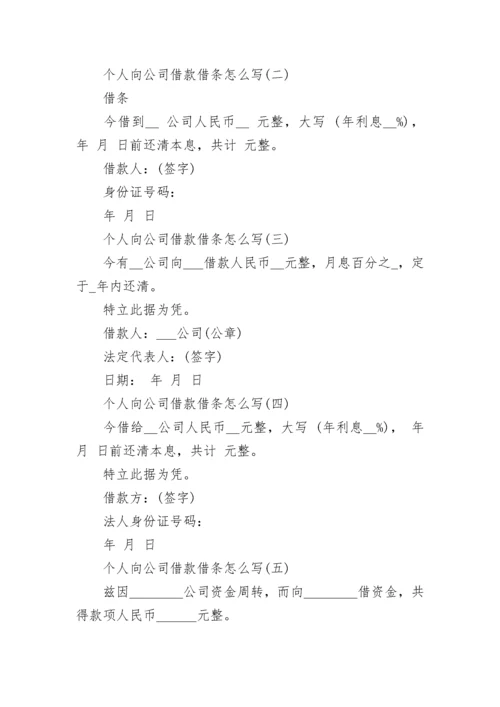 个人向公司借款借条怎么写.docx