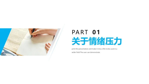 公司员工压力与情绪培训PPT课件