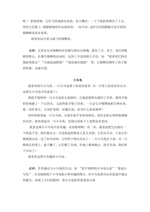 统编版2024-2025学年语文三年级上册跟着课文学写作：15.搭船的鸟仿写动物外形和动作（讲稿）