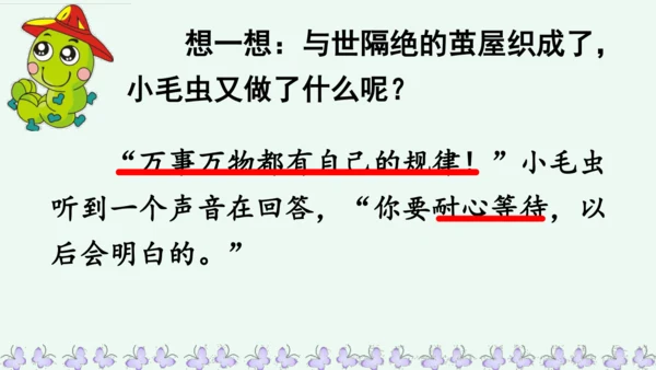 22小毛虫  课件