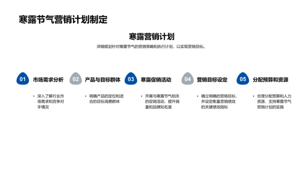 寒露营销策略报告