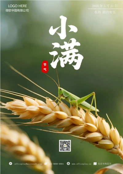 二十四节气小满海报(稻谷)