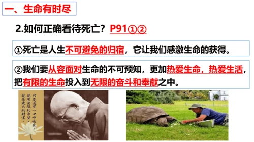 第八课  探问生命复习课件（19张PPT）