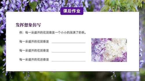 实拍风紫藤萝瀑布七年级语文课件PPT模板