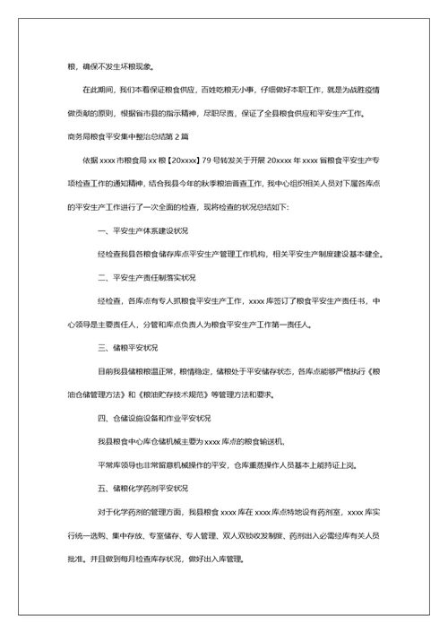 商务局粮食安全集中整治总结第1篇