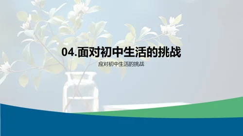 初中生涯的成长之路