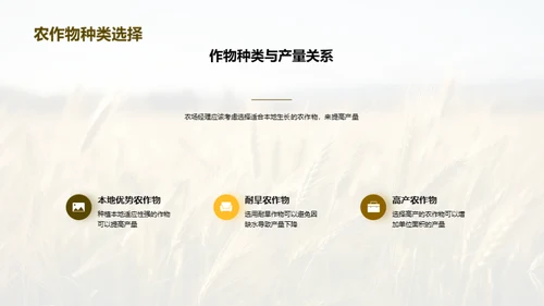 粮食产量探析与策略