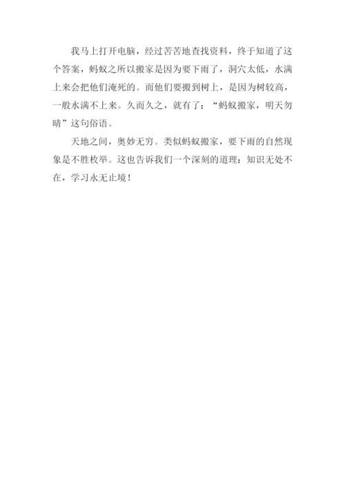 蚂蚁搬家作文.docx