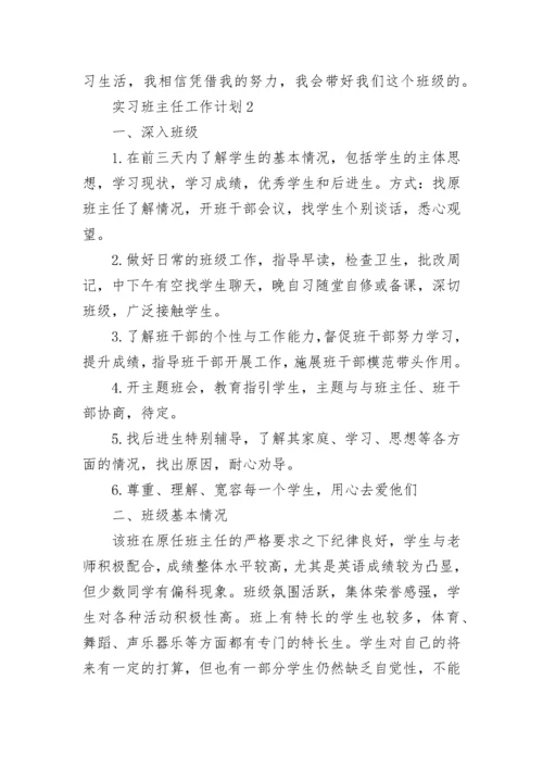 实习班主任工作计划.docx