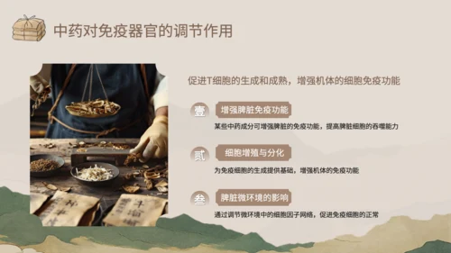 浅棕色中国风中医药对免疫系统调节PPT