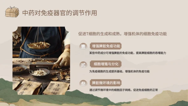 浅棕色中国风中医药对免疫系统调节PPT