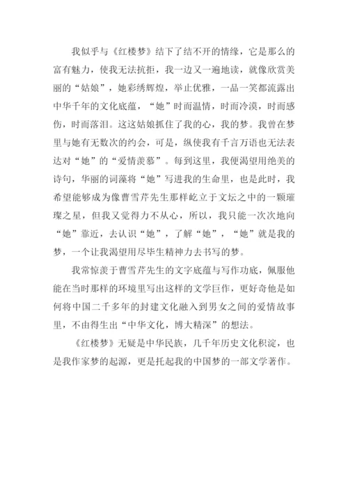 托起我的中国梦作文800字.docx