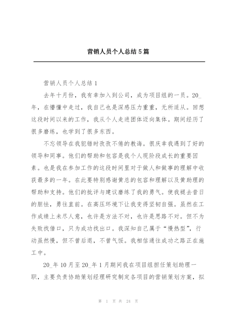 营销人员个人总结5篇.docx