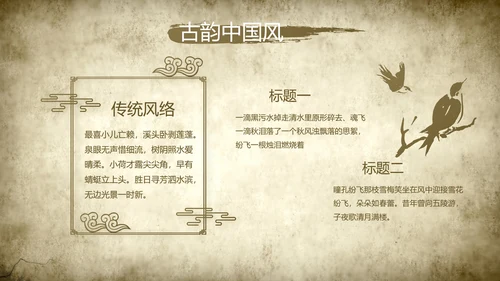 中医文化工作总结汇报计划动态PPT模板