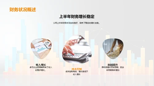 财务半年度分析