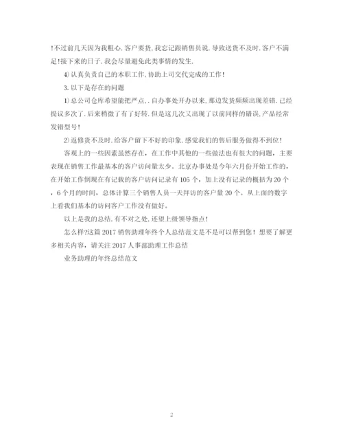 精编之销售助理年终个人总结范文2.docx
