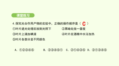 第三单元-第二章-第二节-光合作用-第1课时 绿叶在光下制造有机物课件-2024-2025学年七年级