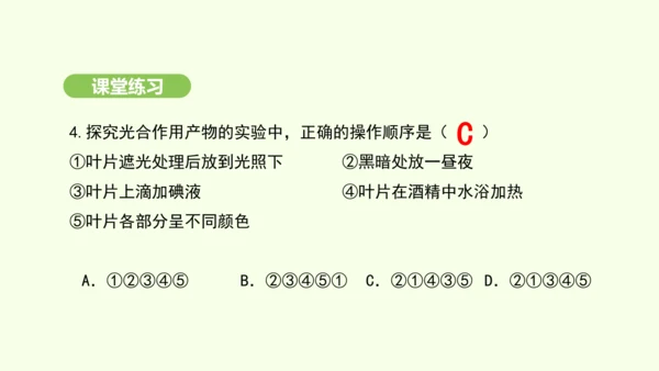 第三单元-第二章-第二节-光合作用-第1课时 绿叶在光下制造有机物课件-2024-2025学年七年级