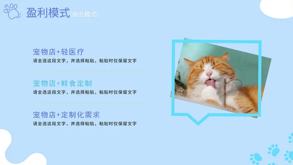 蓝色卡通简约萌宠宠物店项目计划书PPT模板