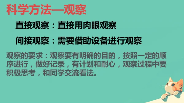 人教版（2024）七年级上册1.1.1 观察周边环境中的生物 课件(共20张PPT)